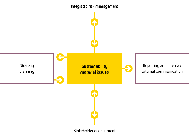 Materiality integration in company’s processes (graphic)