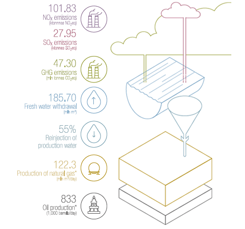Environmental results (graphic)